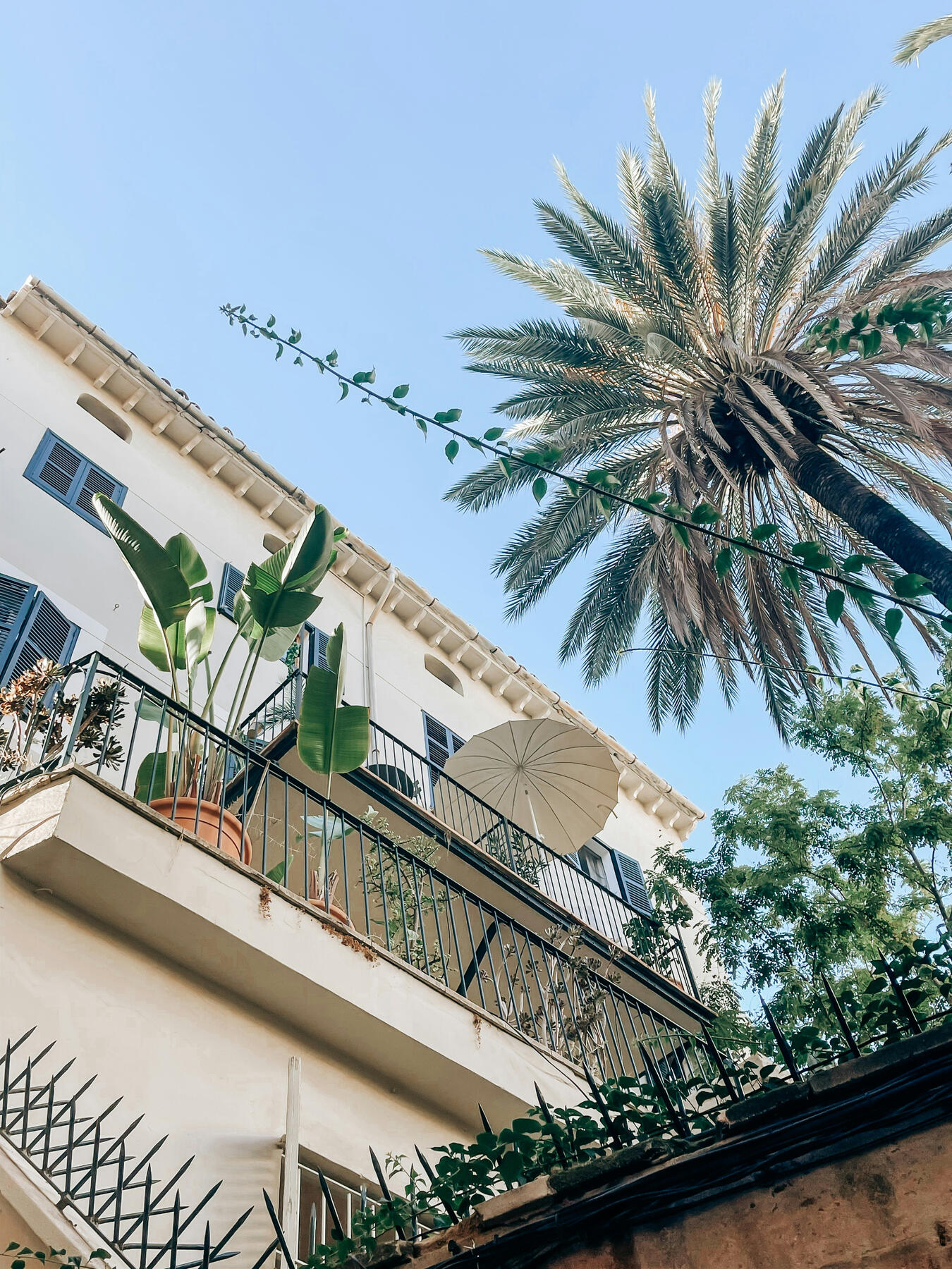 Where Real Estate meets paradise